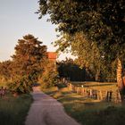 Sommerabend auf dem Land