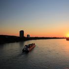 Sommerabend auf dem Rhein