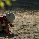 Sommerabend auf dem Spielplatz