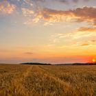 Sommerabend auf der Schwäbischen Alb