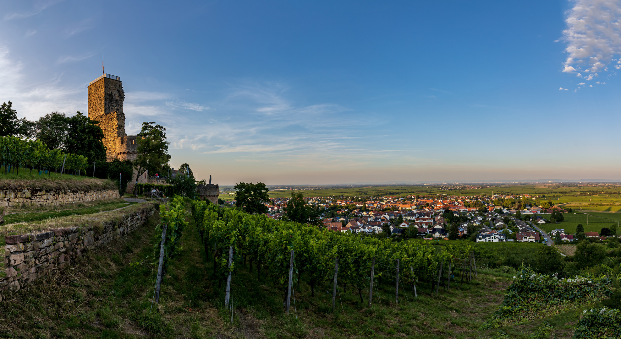 Sommerabend auf der Wachtenburg