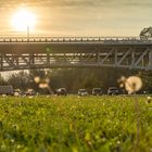 Sommerabend auf der Wiese