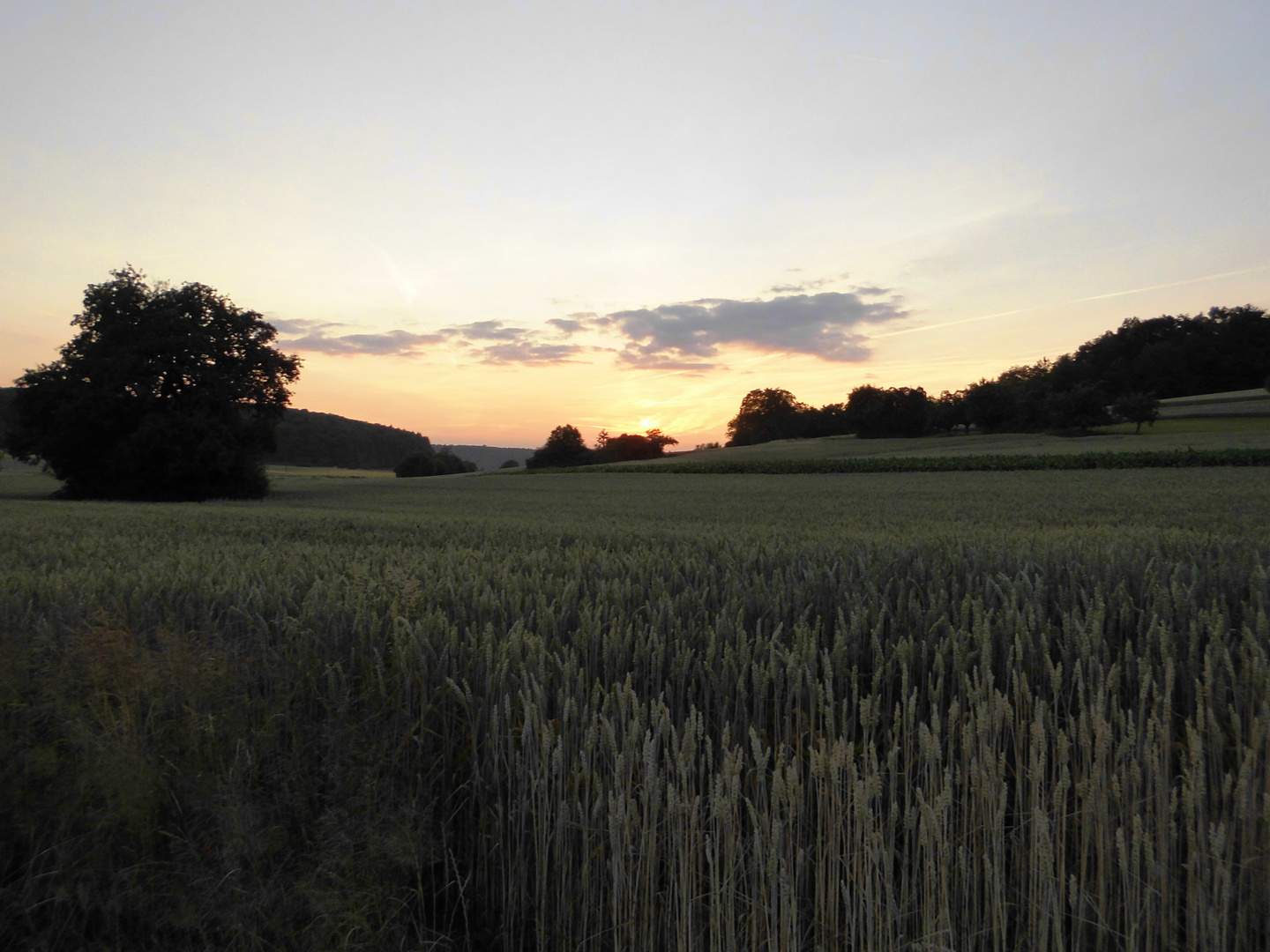 Sommerabend bei Remchingen