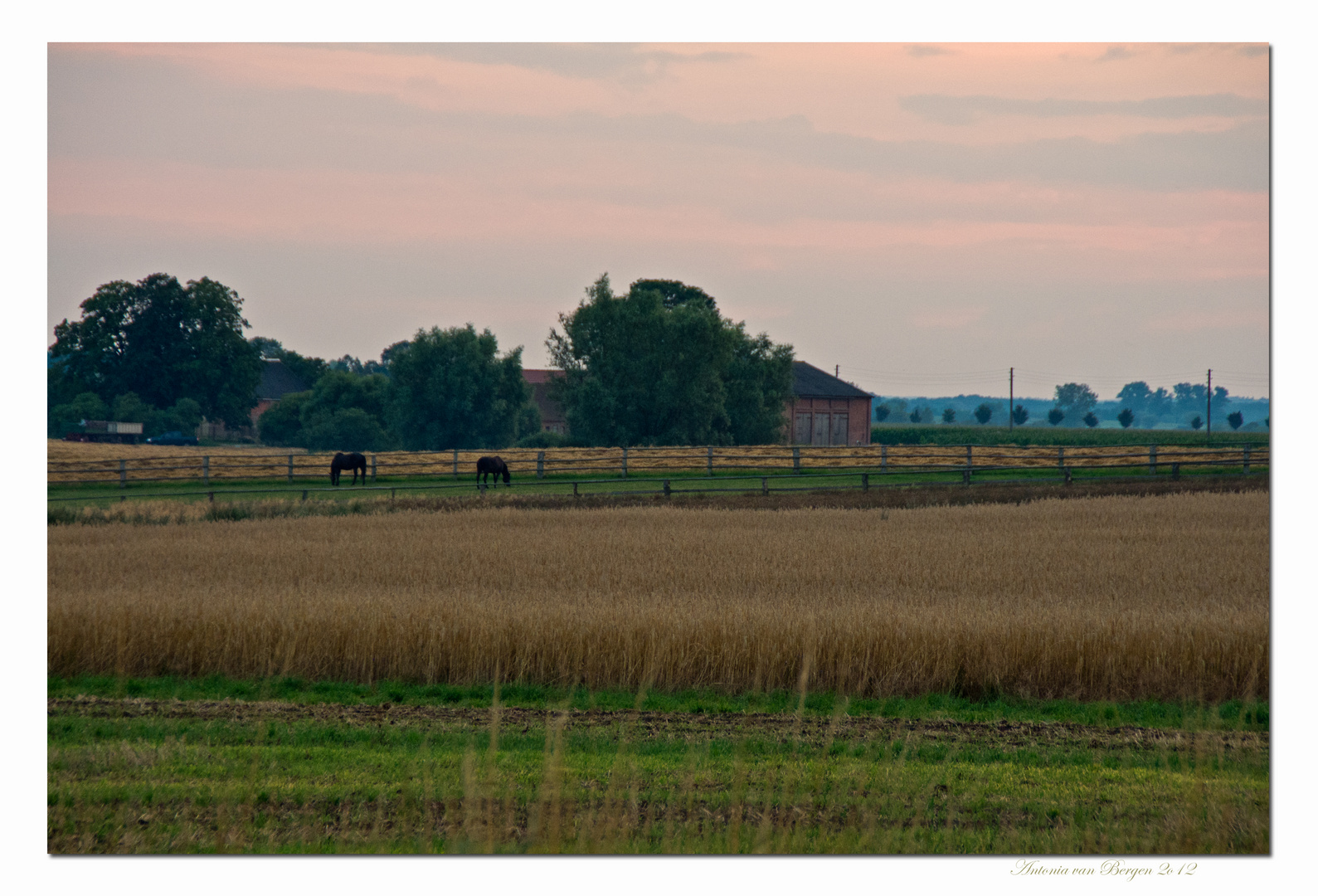 Sommerabend bei Vietlübbe, Mecklenburg.jpg