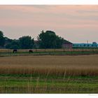 Sommerabend bei Vietlübbe, Mecklenburg.jpg