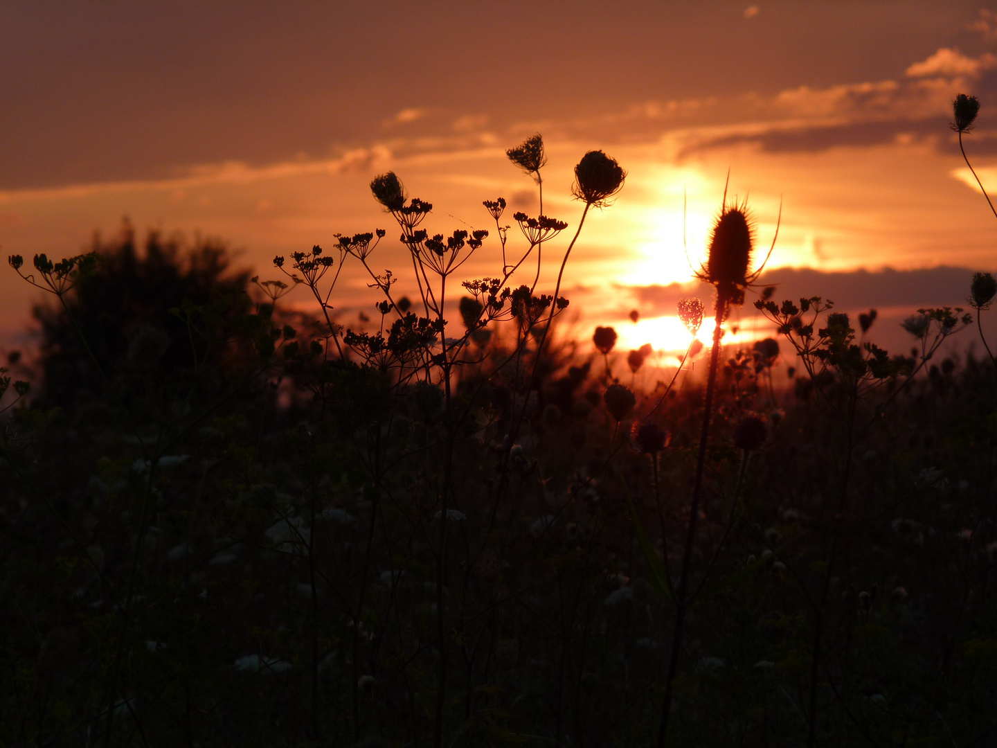 Sommerabend