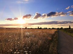 Sommerabend