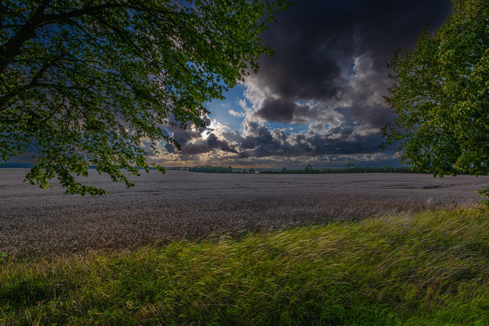 Sommerabend