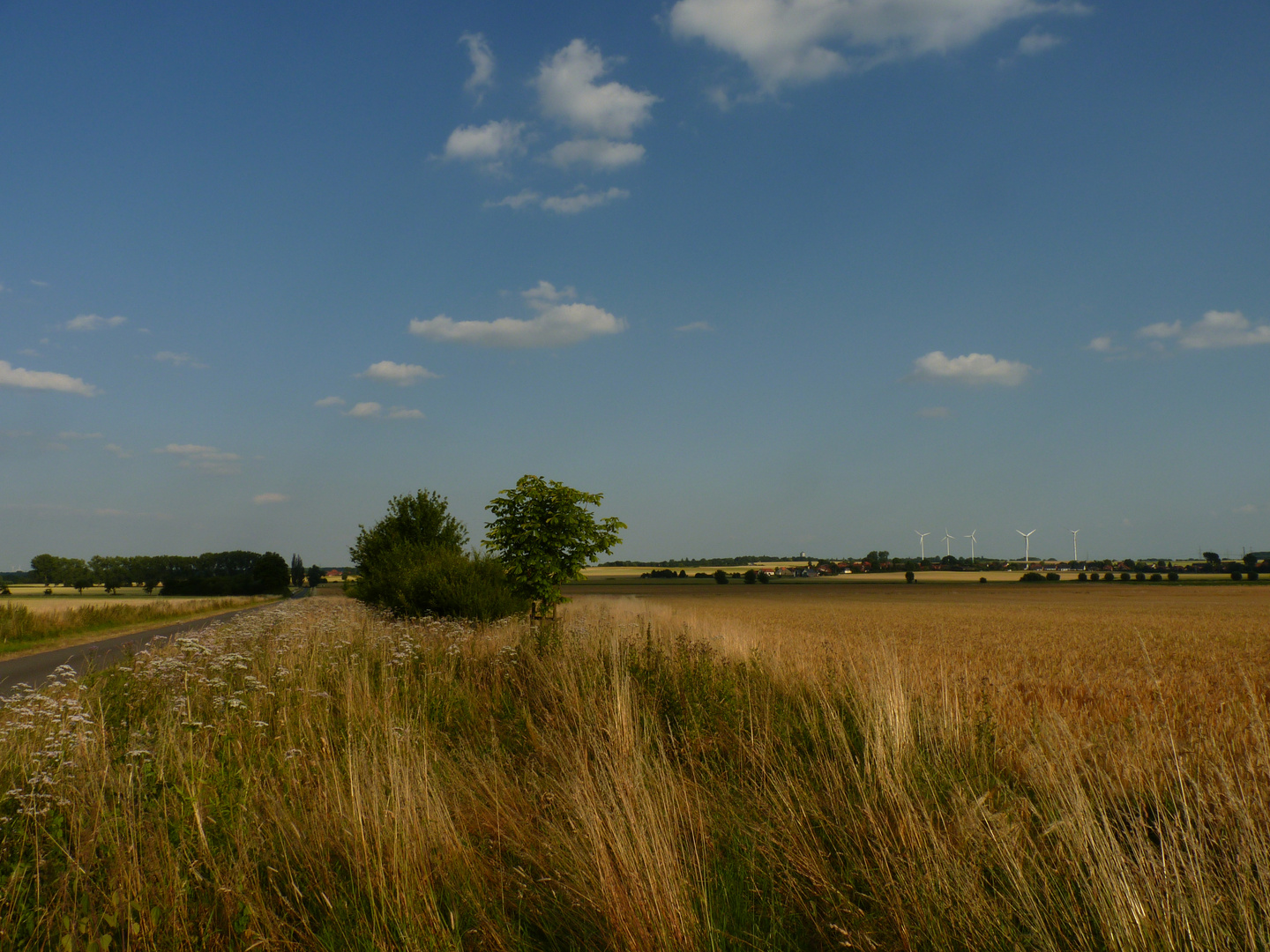 Sommerabend