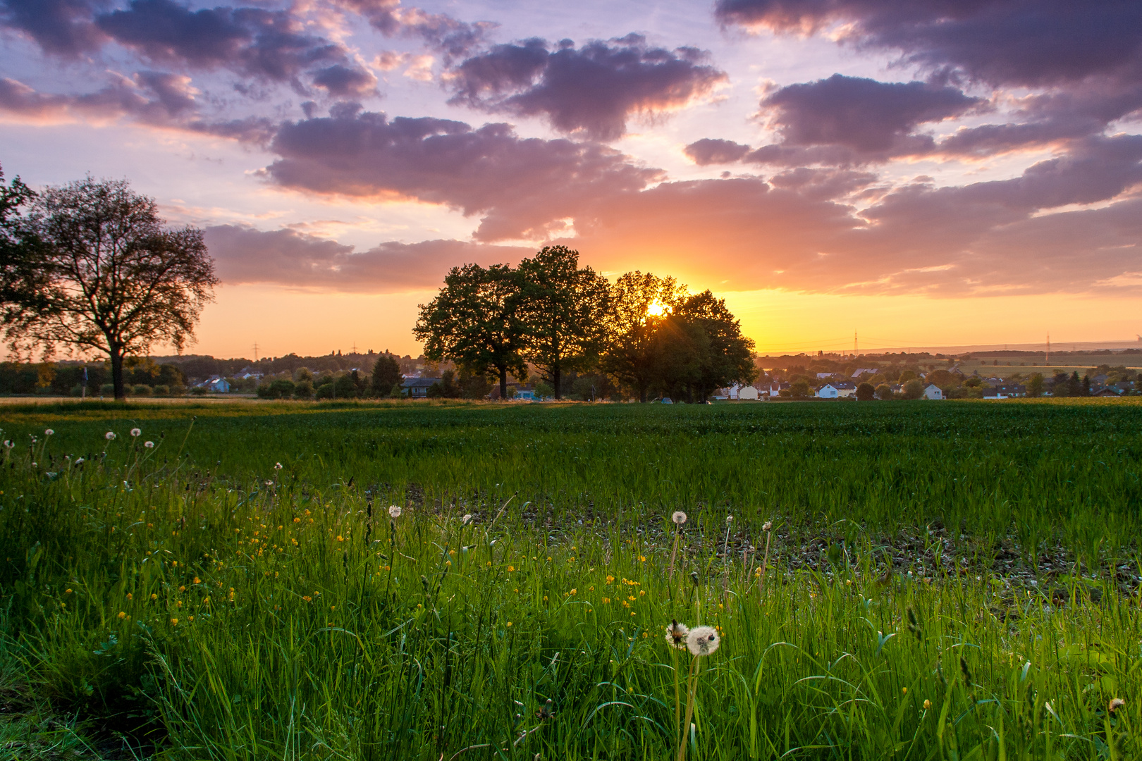 Sommerabend