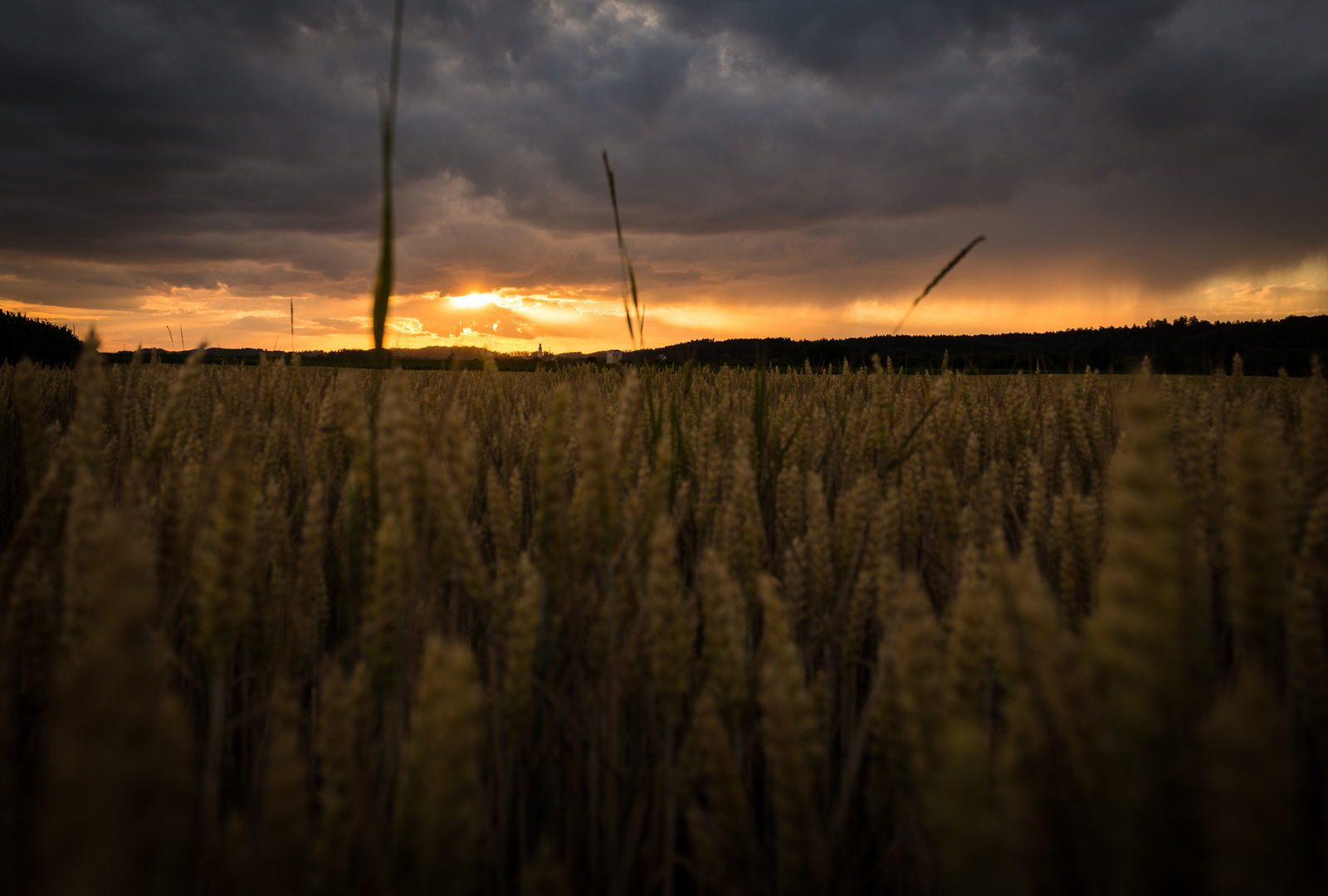 Sommerabend