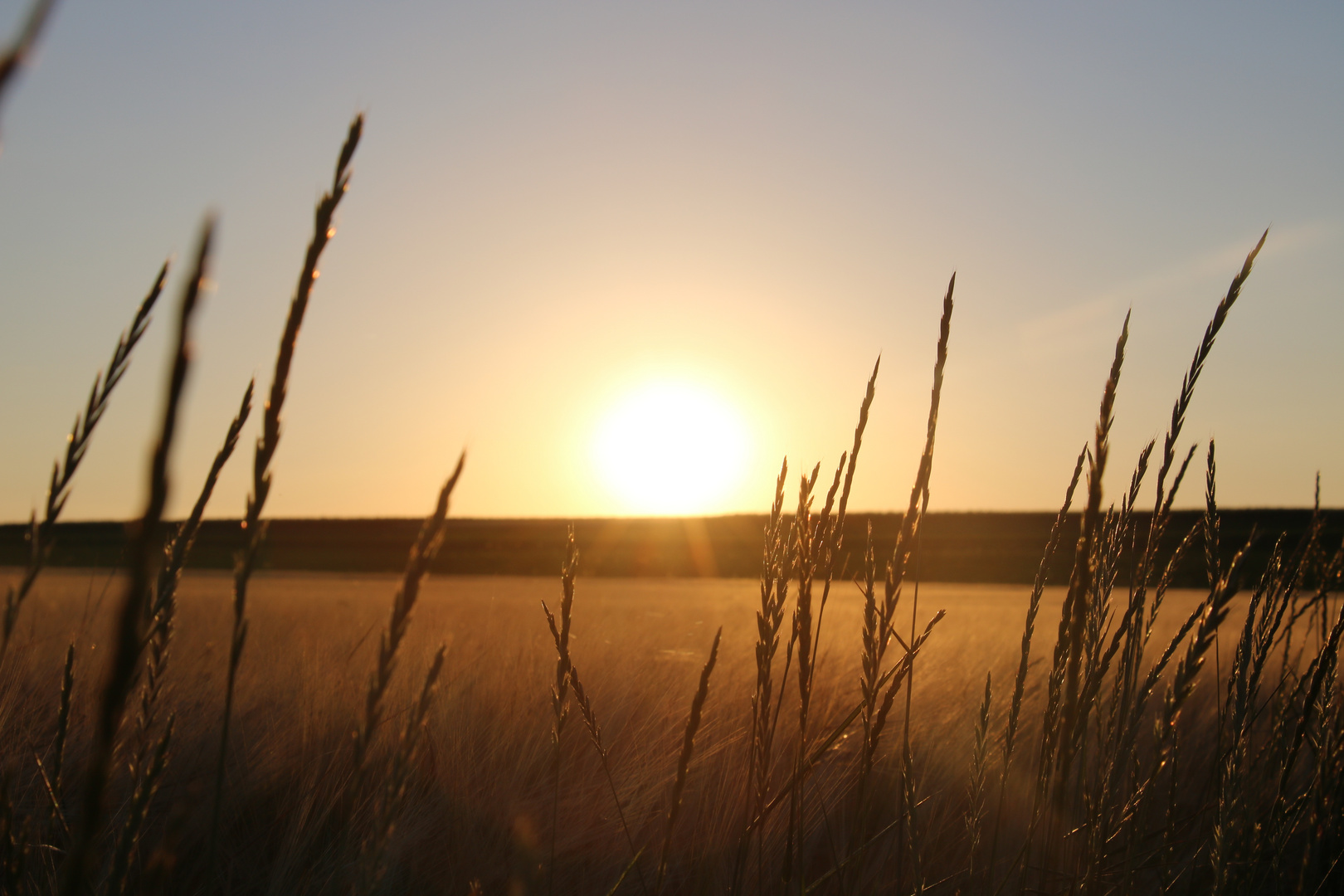 Sommerabend