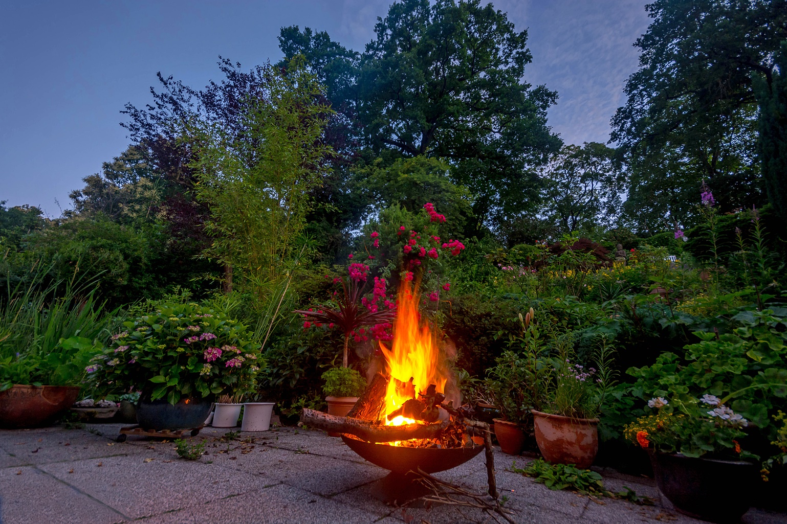 Sommerabend (Feuerblüte)