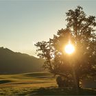 Sommerabend im Allgäu