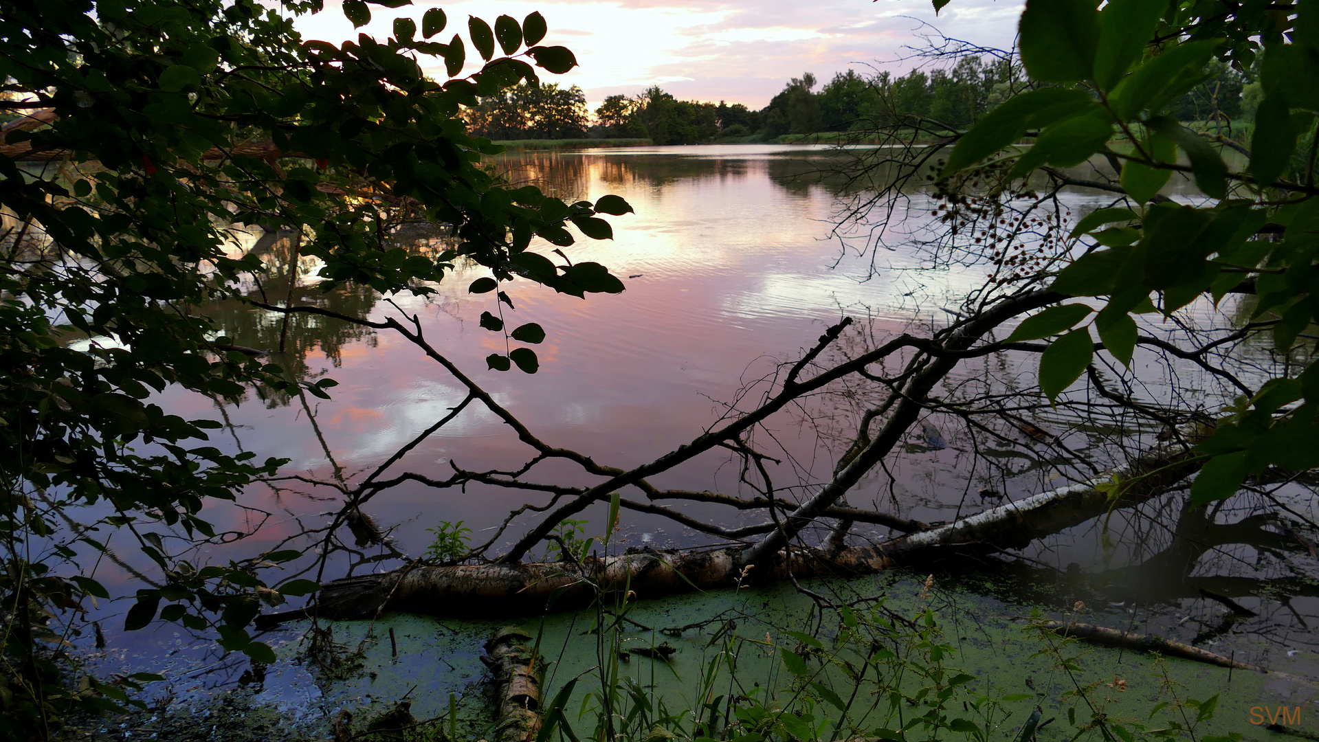 Sommerabend im Biosphärenreservat