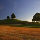 Sommerabend im Emmental