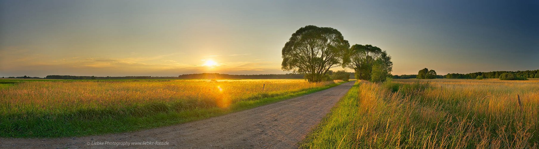 Sommerabend im Feld