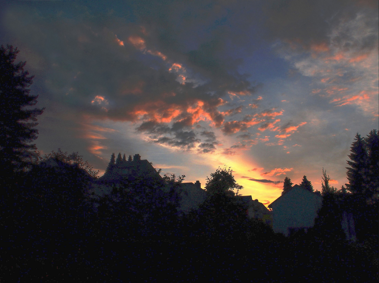 Sommerabend im Garten