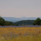 Sommerabend im Knüllgebirge