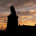 Sommerabend im Lindauer Hafen