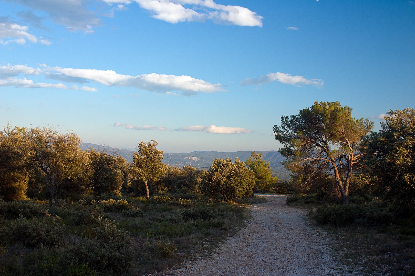 Sommerabend im Luberon