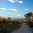 Sommerabend im Luberon