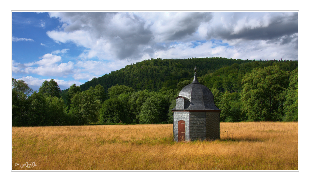 Sommerabend im Park (1)