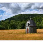 Sommerabend im Park (1)