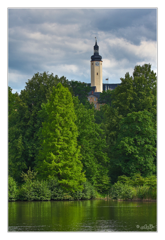 Sommerabend im Park (2)