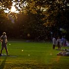 Sommerabend im Schlossgarten