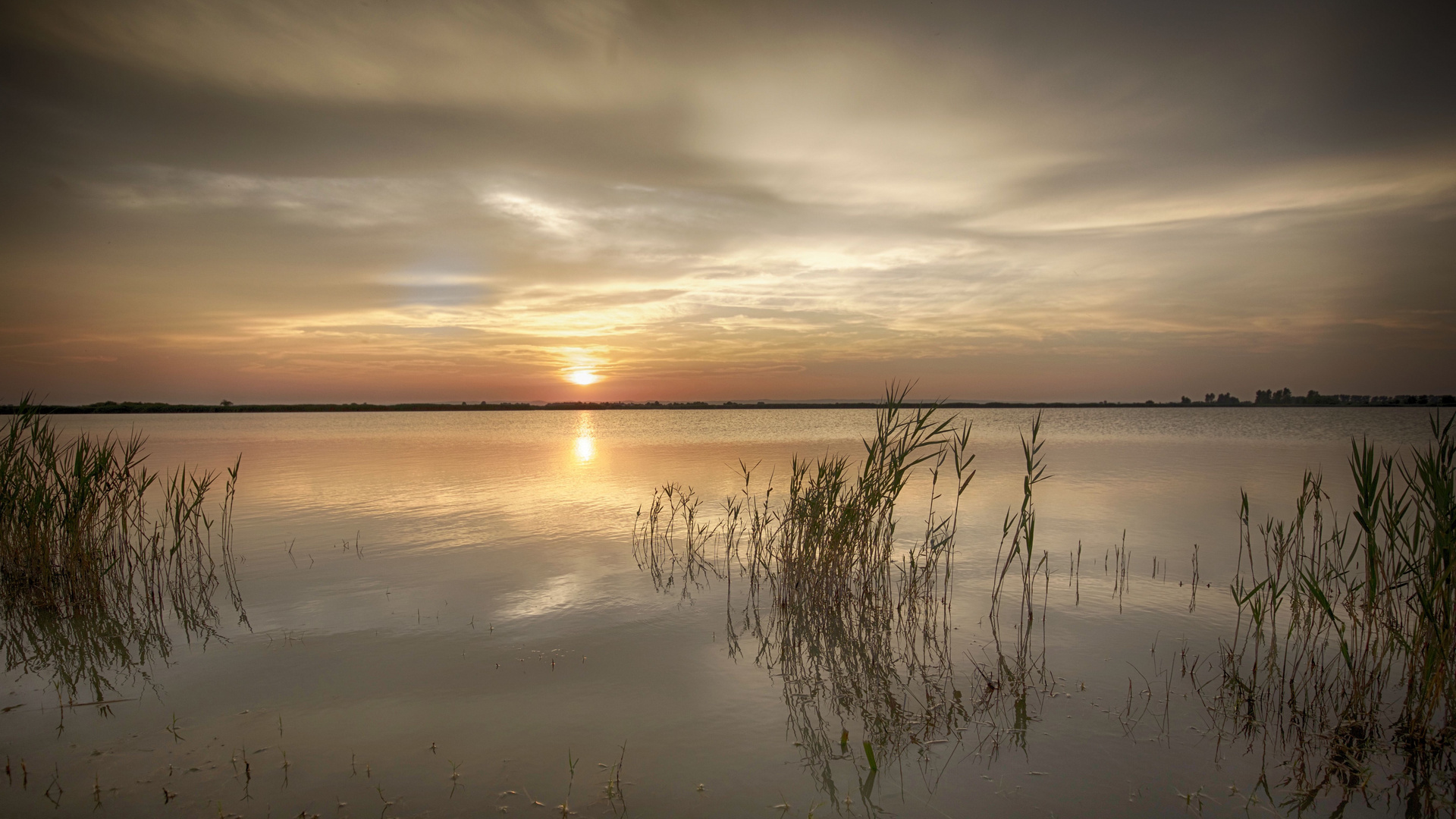 Sommerabend im Seewinkel