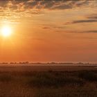 Sommerabend im Speicherkoog