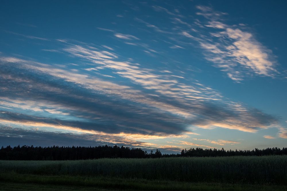 Sommerabend im Waldviertel