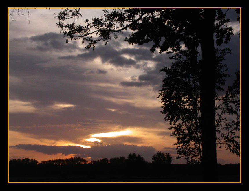 Sommerabend im Wendland