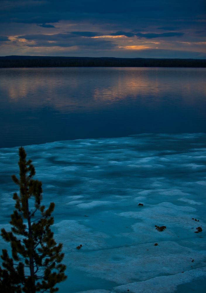 Sommerabend im Yellowstone NP