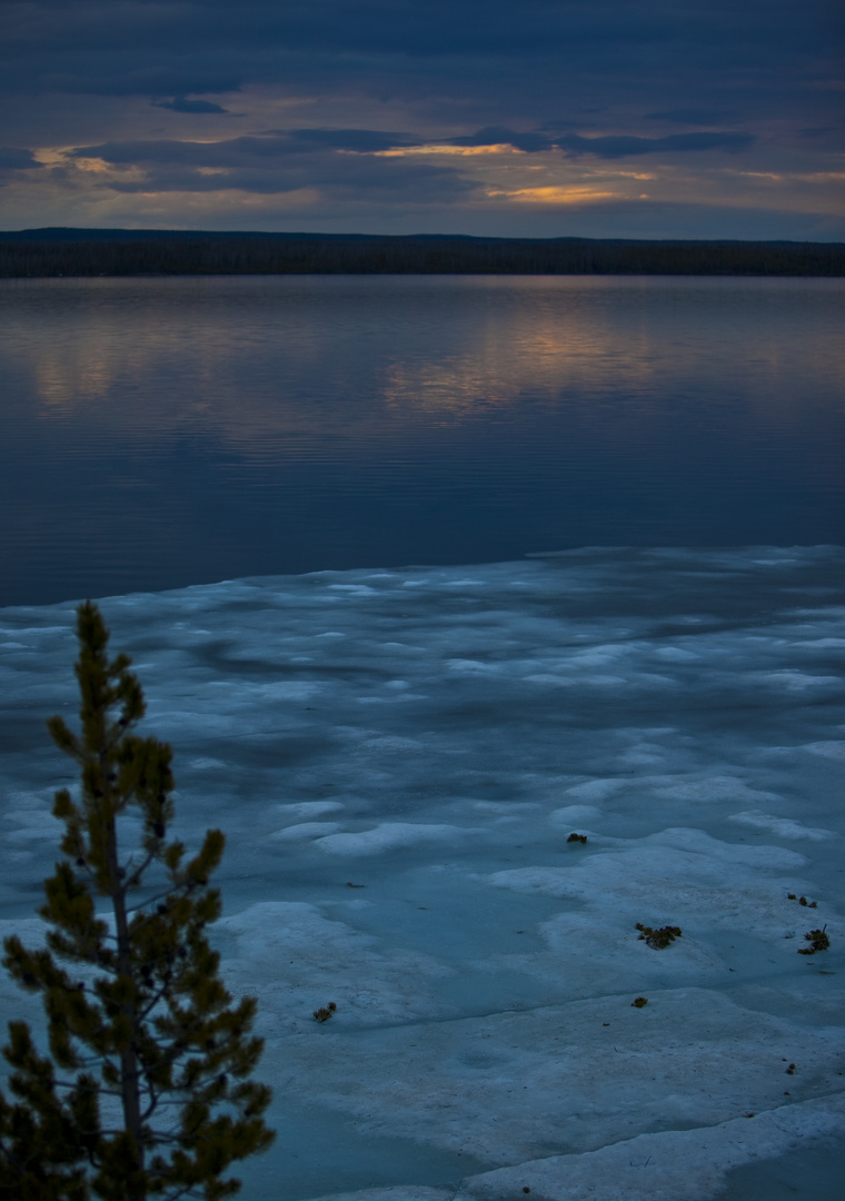 Sommerabend im Yellowstone NP