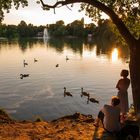 Sommerabend in Berlin  