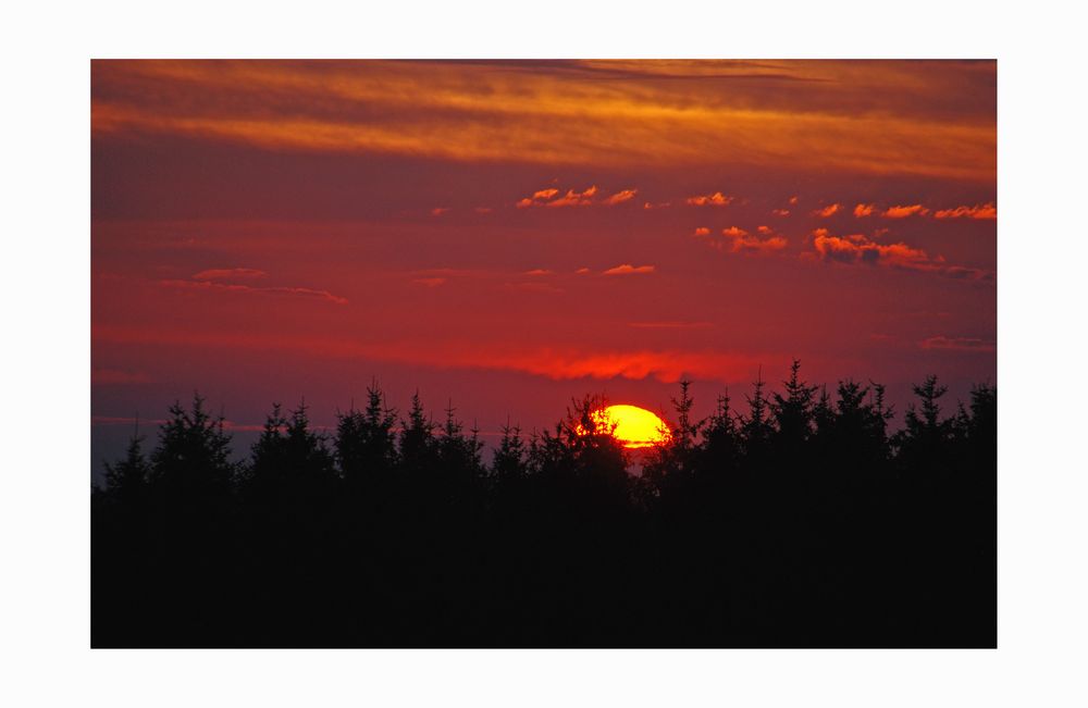 Sommerabend in den "Fichtelmountains"