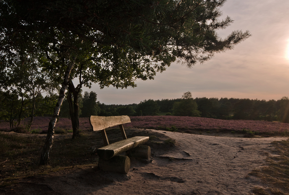 Sommerabend in der Heide