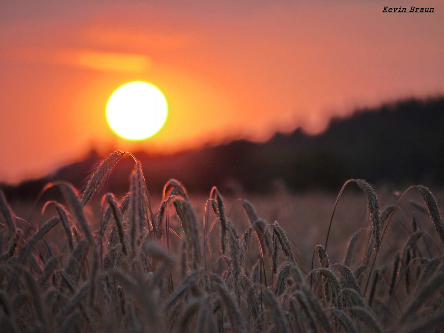 Sommerabend in der Landwirtschaft