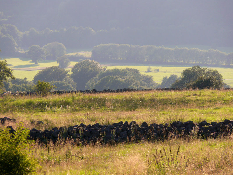 Sommerabend in der Rhön