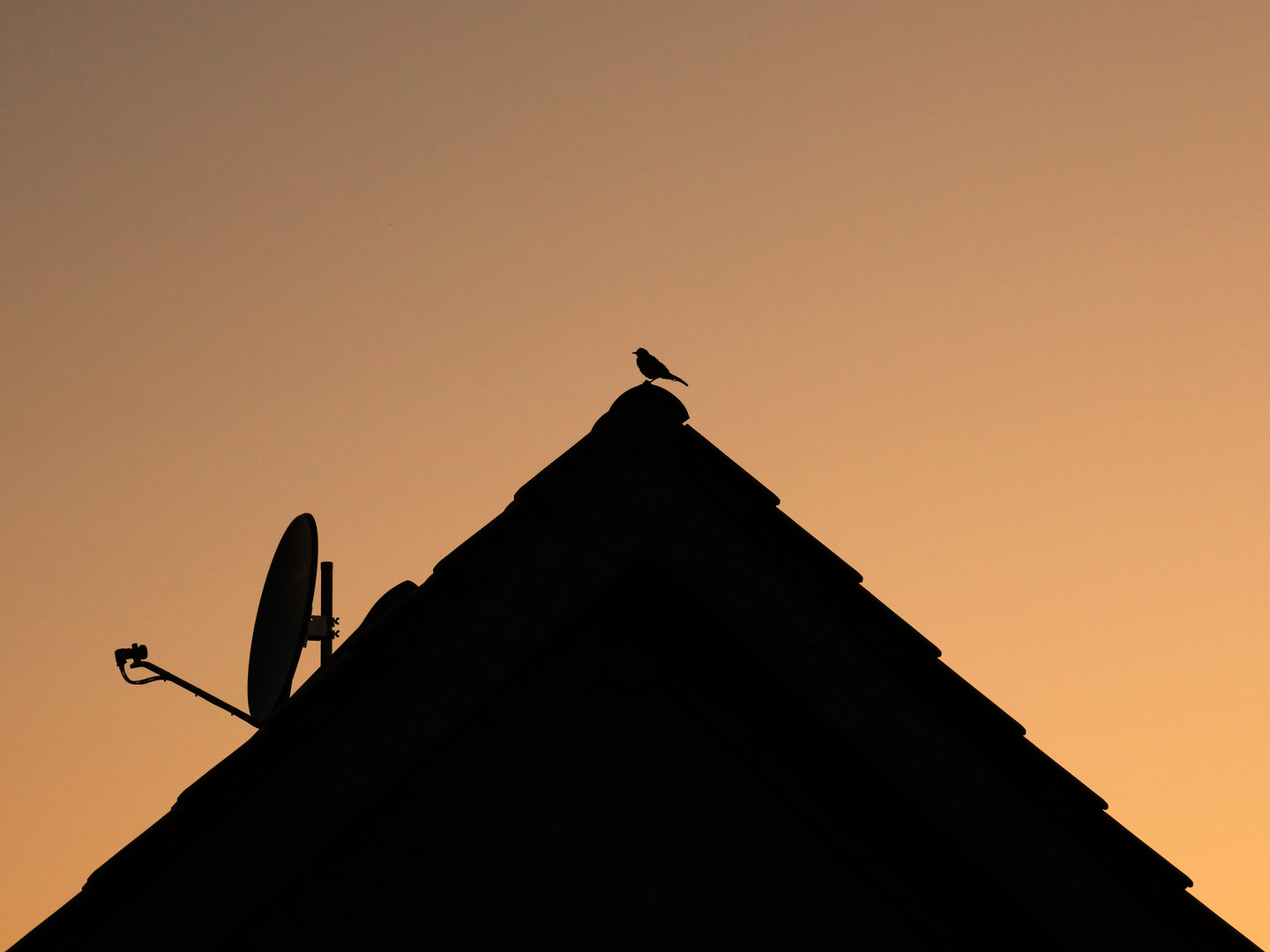 Sommerabend in der Stadt