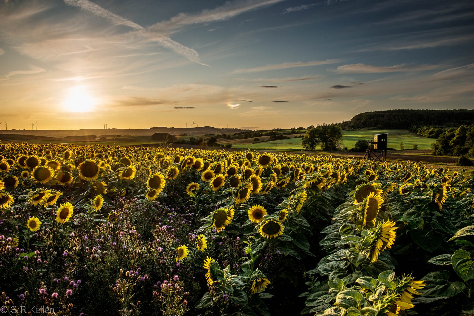 Sommerabend in der Südeifel