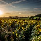 Sommerabend in der Südeifel