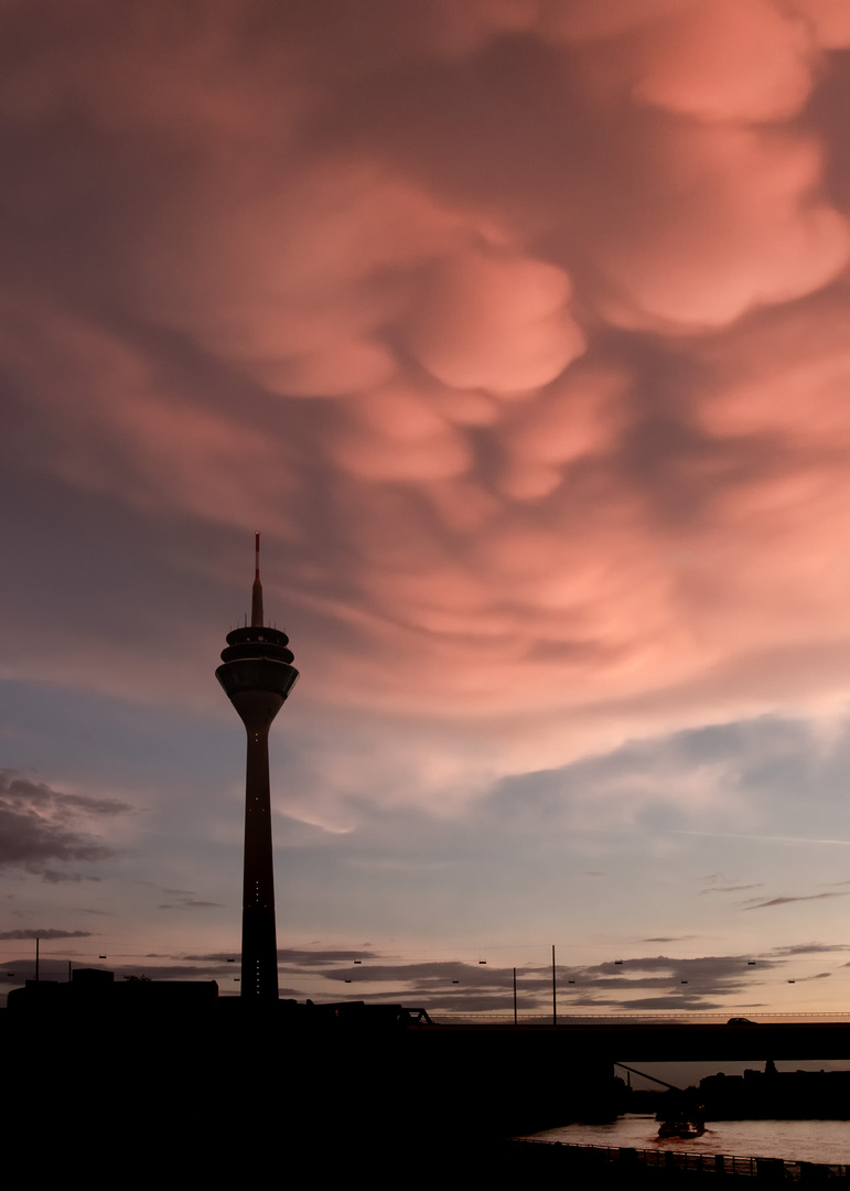 Sommerabend in Düsseldorf 