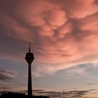 Sommerabend in Düsseldorf 