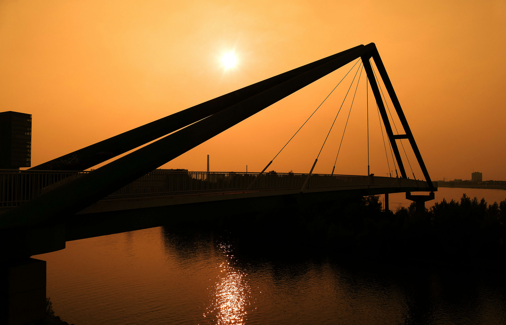 Sommerabend in Düsseldorf 