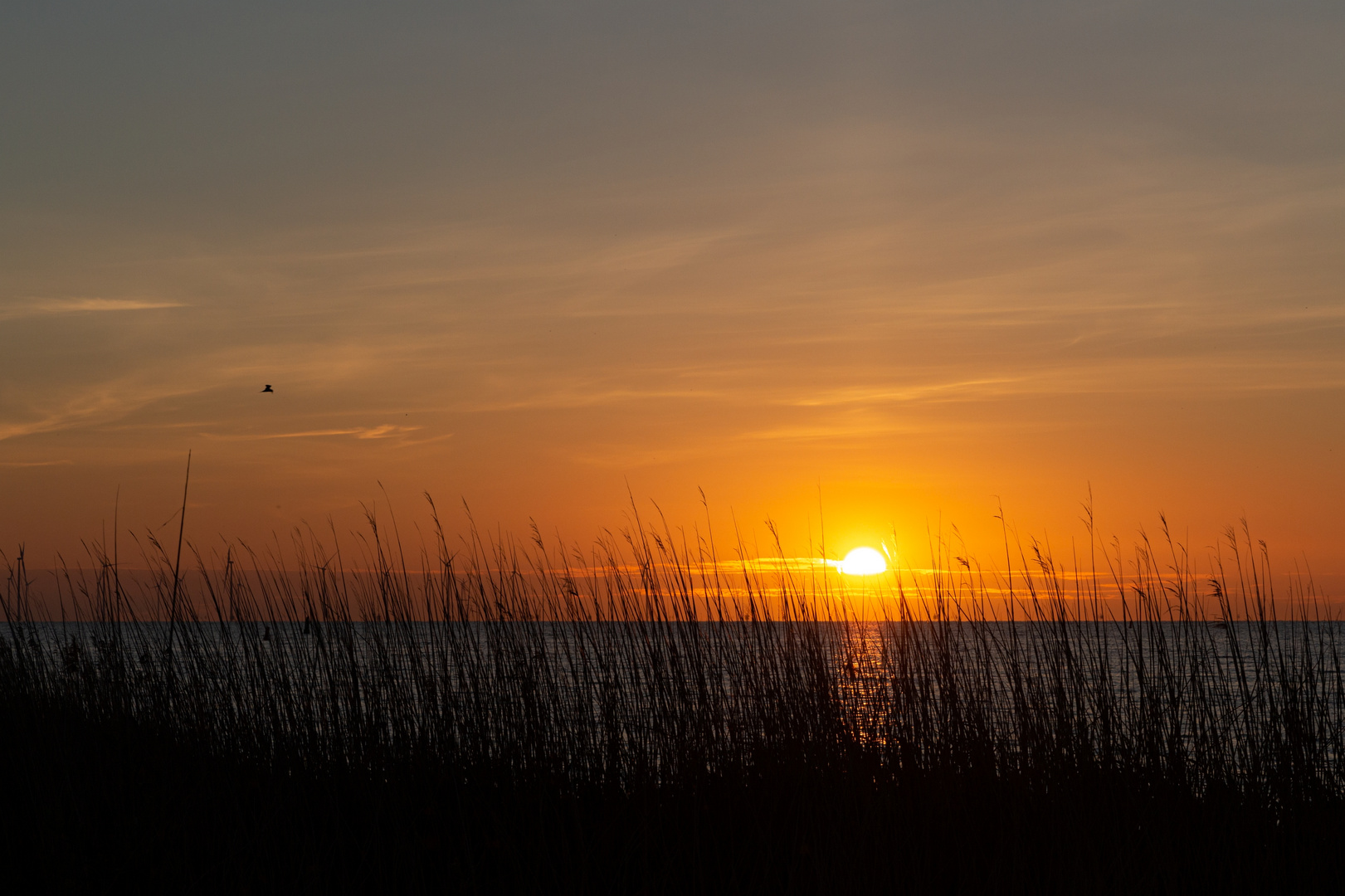 Sommerabend in Hindeloopen...