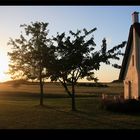 Sommerabend in Mecklenburg