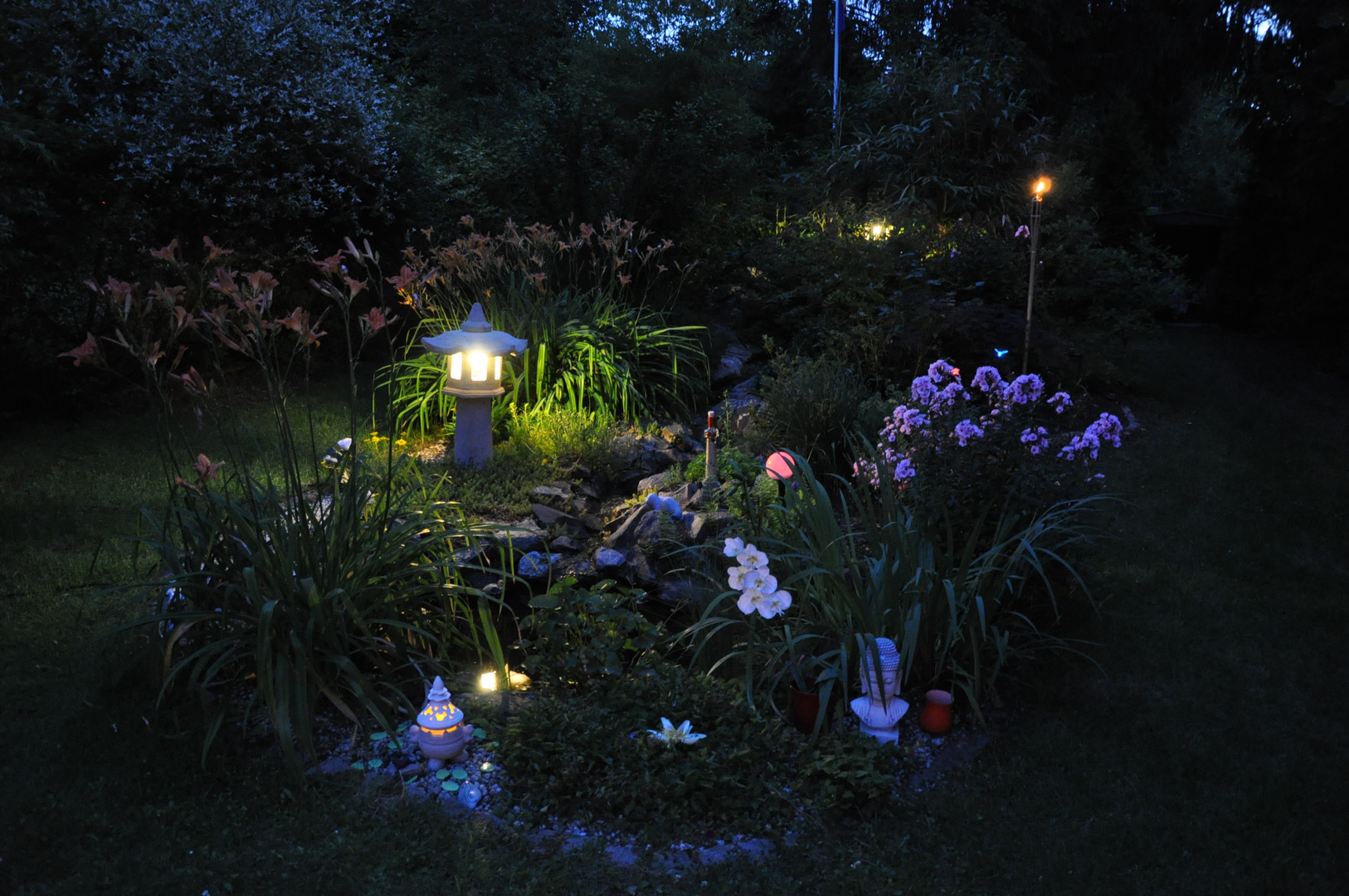 Sommerabend in meinem Garten